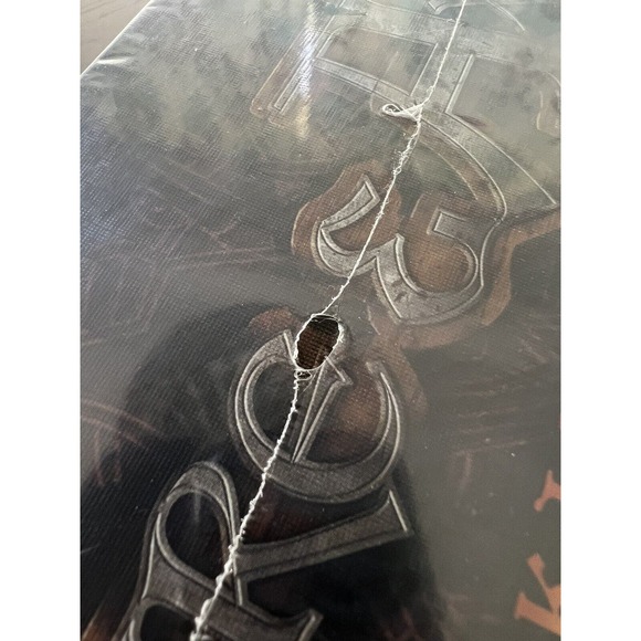 Fire and Axe A Viking Saga Pandasaurus IDW Games, New and Sealed - Picture 10 of 11